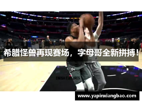 希腊怪兽再现赛场，字母哥全新拼搏！